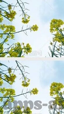 秋霞无码av麻豆-秋霞无码av麻豆，不可取的网络内容与网络浏览自律