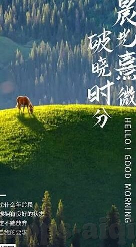 糖心vlog成人版本-糖心Vlog成人世界的幕后——窥见不为人知的真我